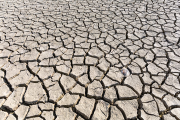 dry cracked land