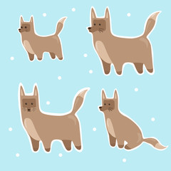  wolf grey fox illustrations set. Cute and funny wolf, grey fox in different poses: sitting, standing on blue background. Stickers with animals 