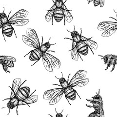 Stoffe zum Nähen Vector seamless pattern with honey bee. Engraving style. Hand drawn isolated insect sketch.