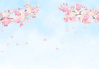 Obraz na płótnie Canvas 水彩　手描き風　桜と空の背景イラスト　01　