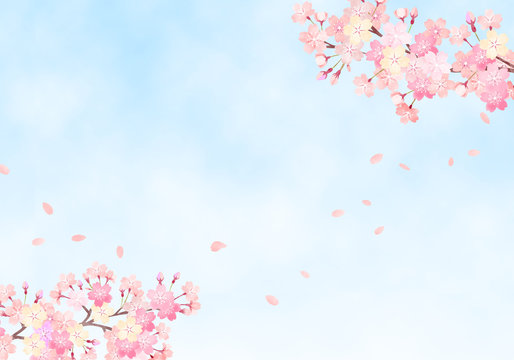  	水彩　手描き風　桜と空の背景イラスト　03