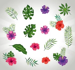 Deurstickers achtergrond van bloemen met takken en bladeren vectorillustratieontwerp © Gstudio