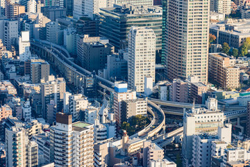 Japan. Tokyo. View of Tokyo from a height. Panorama of the center of Tokyo from the air. Office buildings and roads of the capital of Japan. Urban landscape. Cities of Japan.