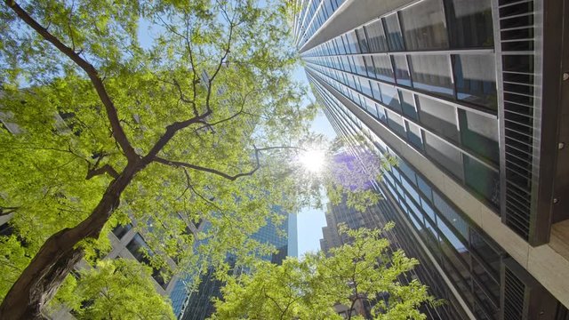 Low angle motion view on New York City skyscrapers, green vegetation and gleaming sun rays blue sky 