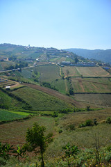 Naklejka premium Summer mountain view in Thailand,High view beautiful nature landscape of the mountain sky and forest in the morning on the hilltop viewpoint at Phu Thap Berk attractions of Phetchabun Province Thailan