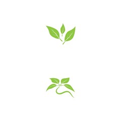 Vegan icon Vector Illustration design Logo