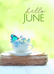 Hello June. beautiful composition with Cup and blue forget-me-not flower, old book on wooden white table. summer season concept.