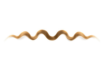 Brown hair on white background, isolated. Thin curly thread