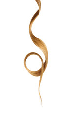 Brown hair on white background, isolated. Thin curly thread