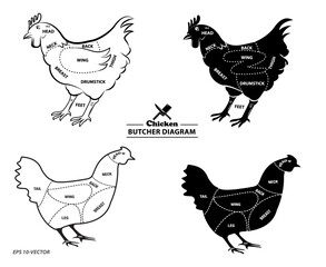 chicken silhouette or butcher diagram or part of hen butcher concept. easy to modify