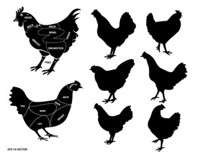 chicken silhouette or butcher diagram or part of hen butcher concept. easy to modify