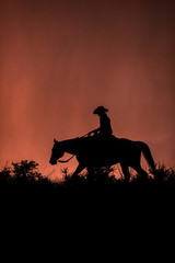 Cowgirl Silhouette 