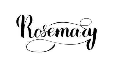 Vector hand written rosemary text isolated on white background. Kitchen healthy herbs and spices for cooking. Script brushpen lettering with flourishes. Handwriting for banner, poster, product label