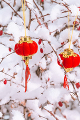 Red lanterns in the snow
