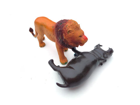 a plastic scildren toys lion fight with hippopotamus isolated on white background
