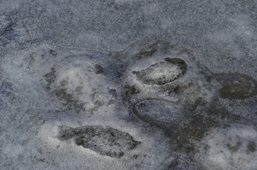Texture beautiful patterns on ice in winter close up