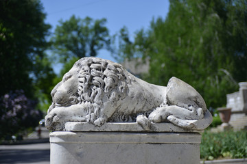 Lion sculpture in Nemyriv (Nemirov)
