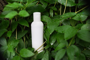 organic cosmetic bottle on natural background with a copy space