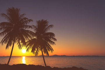 Naklejka na ściany i meble tropical palm tree and sea sunset summer background