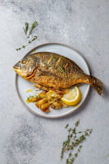 Grilled sea bream or dorada on gray plate. Gray background