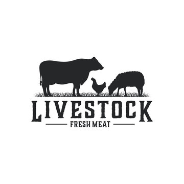farm animal logo. suitable for meat, food or livestock icons