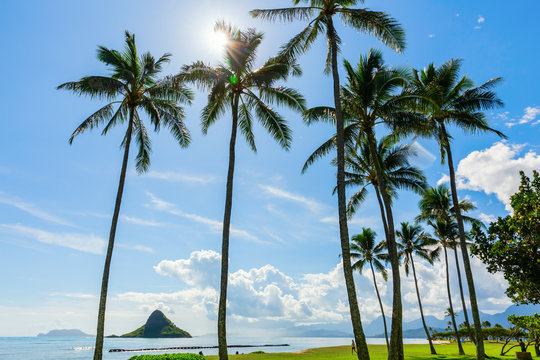 View Of Kualoa Regional Park, Oahu, Hawaii