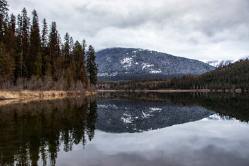North Montana Peaceful Lake in Winter with Pine Trees