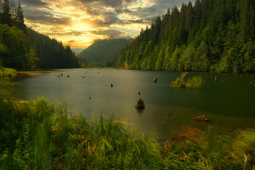 Red lake - Lacul Rosu in Transylvania, Romania