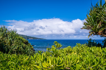 An overlooking view of nature in Maui, Hawaii