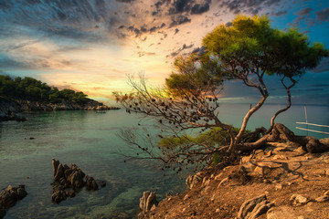 Tropical coast landscape in Greece, Chalkidiki