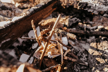 bonfire place, logs and paper stacked together to make a bonfire in nature