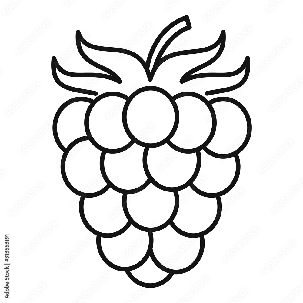 Poster raspberry icon. outline raspberry vector icon for web design isolated on white background