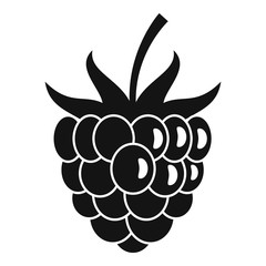 Dessert raspberry icon. Simple illustration of dessert raspberry vector icon for web design isolated on white background