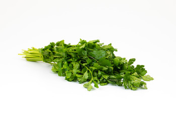 Fresh Coriander or Indian Dhaniya on White Background