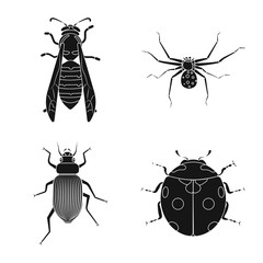 Vector illustration of insect and fly sign. Collection of insect and element stock vector illustration.