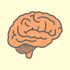 the human brain Vector illustration
