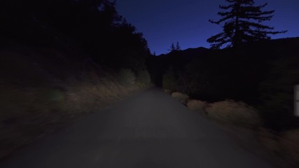 Alpine Forest Narrow Road Before Dawn Driving Plate Front View 01