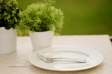 empty white dish on white table, small plant decorated
