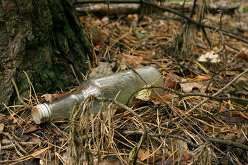 garbage in the forest - glass bottle