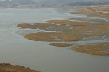 SuncheonBay Wetland Reserve, South Korea. It is full with reeds, birds, and marine lives. 