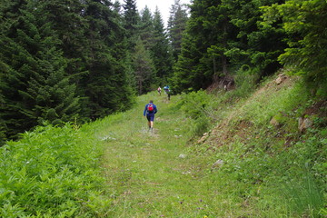hiking in the mountains