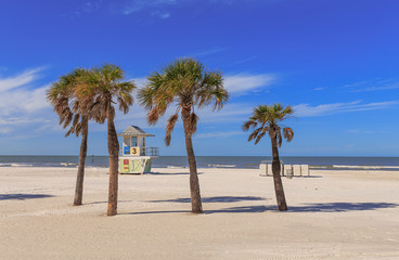 Beach with palm trees in Clearwater Beach