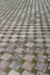 Stone paving green grass pathway 