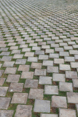 Stone paving green grass pathway 