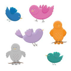 Set of cute birds in different colors and poses on white background. Cartoon style. Birds illustration. Funny birds vector design. T-shirt graphic. Prints, greeting cards, textile art works.
