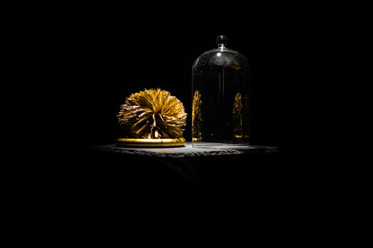 golden wuschel