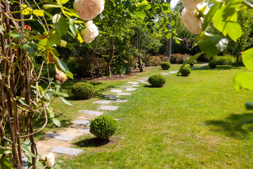 Jardin - allée pavée entourée de buis et pelouse