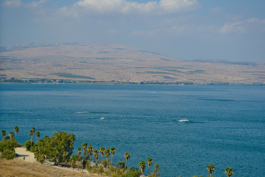 Landscape of the Sea of Galilee - Sea of Galilee. Blue water, small waves with foam, palm trees, mountains in the distance. Selective focus.