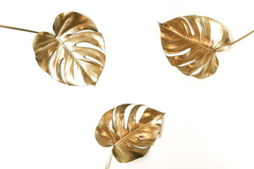 Gold tropical monstera leaves plant pattern isolated frame on a white background. top view. copy space. floral card.abstract.
