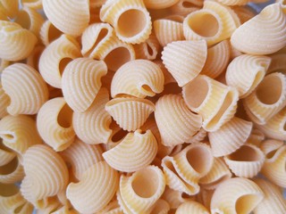 shells on wooden background